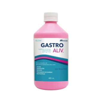 GastroAliv Suspension 480 Ml