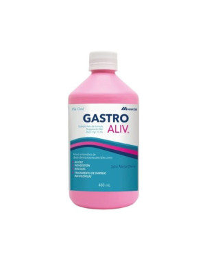 GastroAliv Suspension 480 Ml